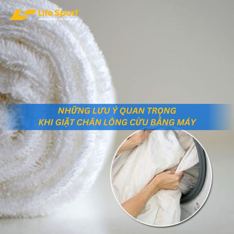 Những lưu ý quan trọng khi giặt chăn lông cừu bằng máy