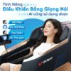 Ghế Massage Lifesport LS-679