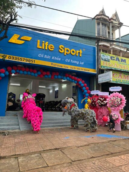 Top-5-mau-ghe-massage-ua-chuong-tai-Gia-Lai